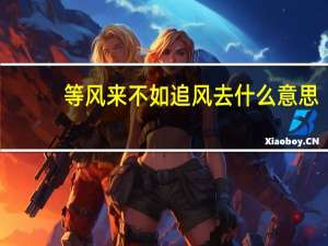 等风来不如追风去什么意思