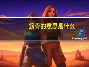 筋骨的意思是什么