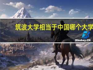 筑波大学相当于中国哪个大学