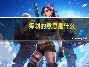 筹划的意思是什么