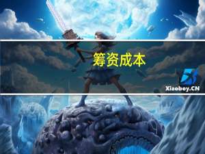 筹资成本