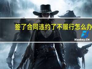 签了合同违约了不履行怎么办