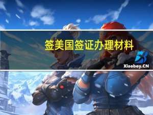 签美国签证办理材料(美国签证的材料)