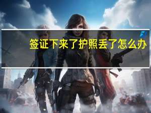 签证下来了护照丢了怎么办