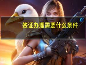签证办理需要什么条件