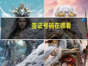 签证号码在哪看