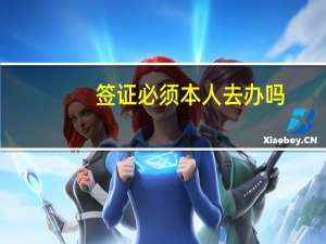 签证必须本人去办吗
