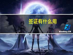 签证有什么用