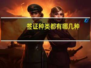 签证种类都有哪几种