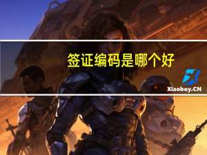 签证编码是哪个好