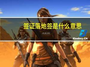 签证落地签是什么意思