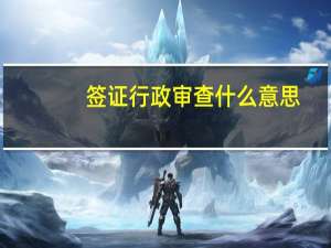 签证行政审查什么意思