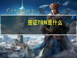 签证TRN是什么