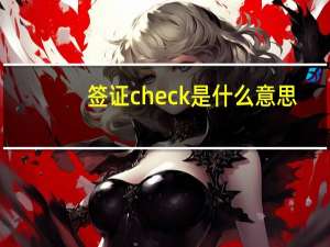 签证check是什么意思