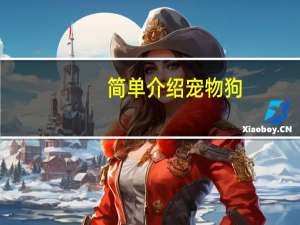 简单介绍宠物狗