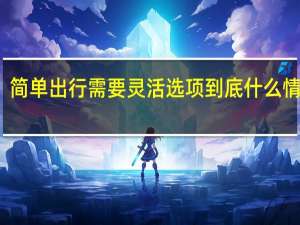 简单出行需要灵活选项 到底什么情况嘞
