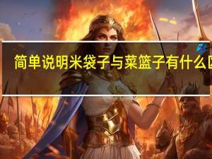 简单说明米袋子与菜篮子有什么区别