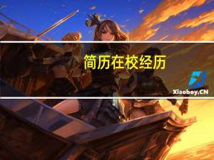 简历在校经历