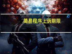 简易程序上诉期限