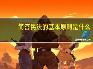 简答民法的基本原则是什么