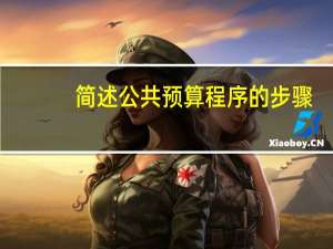 简述公共预算程序的步骤