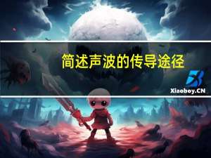 简述声波的传导途径