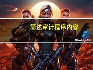 简述审计程序内容
