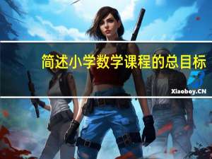 简述小学数学课程的总目标