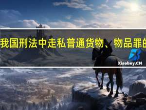 简述我国刑法中走私普通货物、物品罪的行为方式