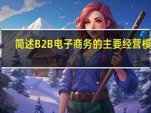 简述B2B电子商务的主要经营模式