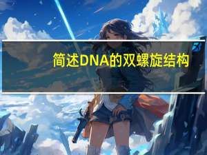简述DNA的双螺旋结构。