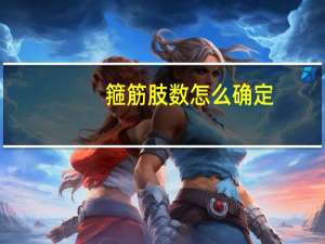 箍筋肢数怎么确定