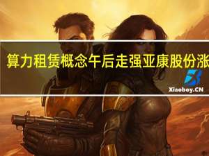 算力租赁概念午后走强 亚康股份涨超11%