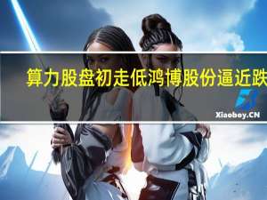 算力股盘初走低 鸿博股份逼近跌停