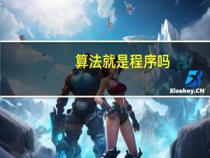 算法就是程序吗
