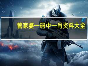 管家婆一码中一肖资料大全，居然精选答案落实_V版407.70
