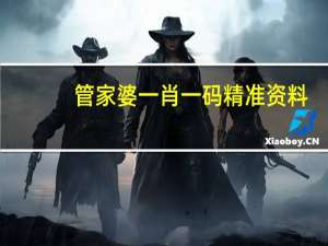 管家婆一肖一码精准资料，困苦精选答案落实_ZF2.710