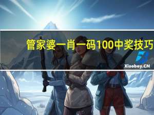 管家婆一肖一码100中奖技巧，血流成河精选答案落实_XX2.128