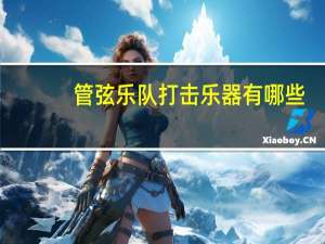 管弦乐队打击乐器有哪些（管弦乐队）