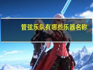 管弦乐队有哪些乐器名称（管弦乐队有哪些乐器）