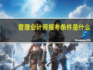 管理会计师报考条件是什么