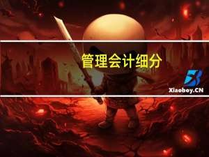 管理会计细分（管理会计-企业会计分支简介）