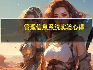 管理信息系统实验心得