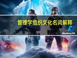 管理学组织文化名词解释