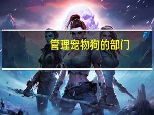 管理宠物狗的部门