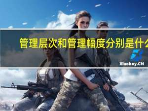 管理层次和管理幅度分别是什么