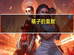 箱子的复数