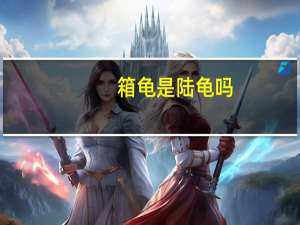 箱龟是陆龟吗