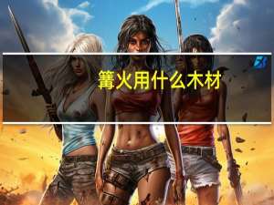 篝火用什么木材