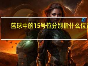 篮球中的15号位分别指什么位置